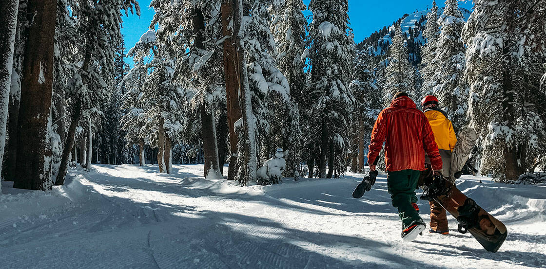 hommes tenant un snowboard à la main qui se promenent dans une foret enneigee