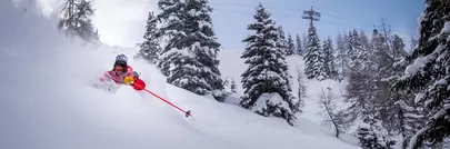 skieur dans la poudreuse entouré de sapins