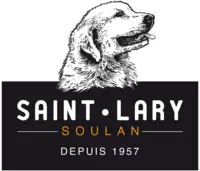 SAINT LARY