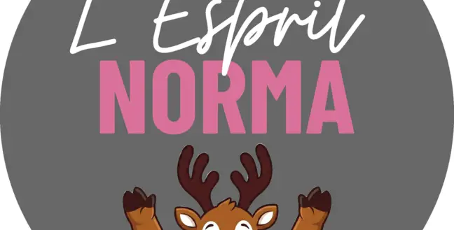 location ski la norma sport2000 ski m'play pied des pistes skimium skiset intersport